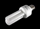 Eine einfach umhüllte
                                                  Kompaktleuchtstofflampe