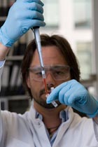Tests are first carried out on cells grown in the laboratory