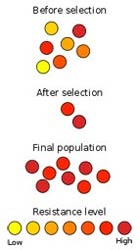 Resistant bacteria can survive biocide concentrations that
										would kill others.